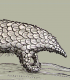 Pangolin's Avatar